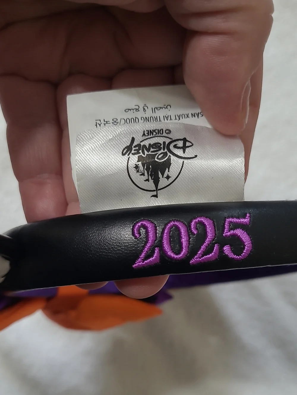 Disney World from 2025